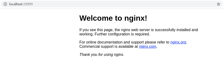 The nginx web server welcome page is available on localhost port 19999.