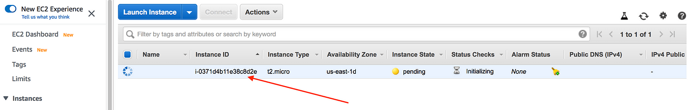 AWS EC2 Dashboard showing a single t2.micro Instance in pending instance state and status checks initializing.