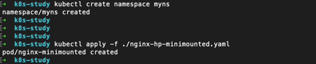 The kubectl apply output when mounting a local directory to a pod in minikube.