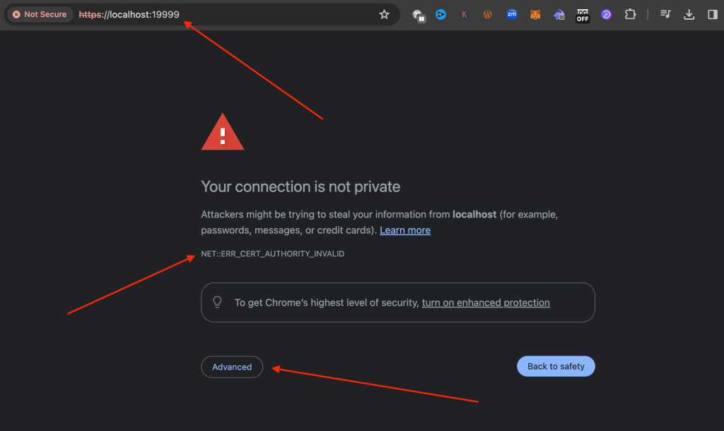 The H2 Database Browser on Chrome via port 19999 -- in this example we have an invalid SSL certificate error and we need to override this in the advanced options.