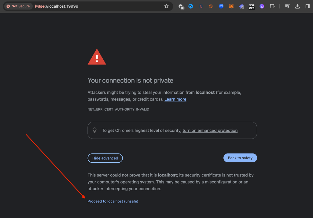 The H2 Database Browser on Chrome port 19999 with a pointer to "Proceed to localhost (unsafe)", which we need to click.