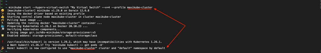 The command to start minikube is executed with the profile set to "maxikube-cluster" and we can see that this command returned successfully.
