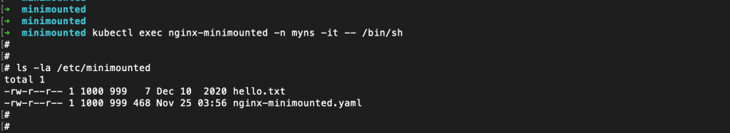 User checks the pod's /etc/minimounted directory and can see that the hello.txt file exists.