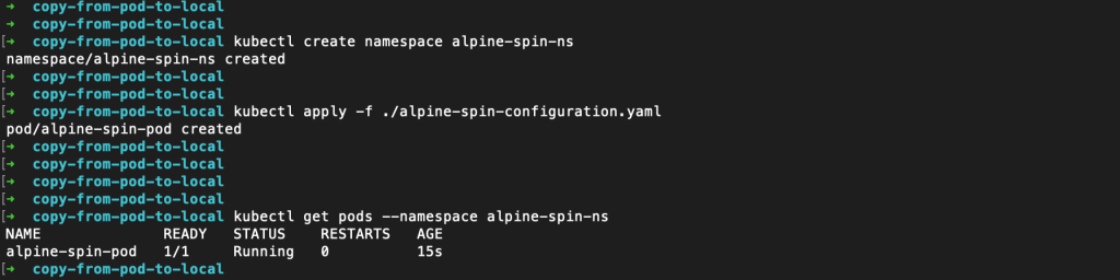 In the first (optional) step we create the alpine-spin-pod pod using the following commands: 1.) kubectl create namespace alpine-spin-ns 2.) kubectl apply -f ./alpine-spin-configuration.yaml 3.) kubectl get pods --namespace alpine-spin-ns