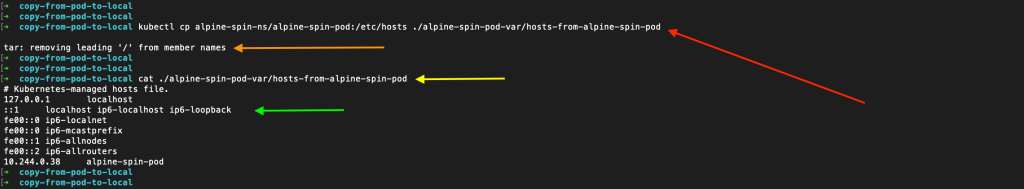 Output from running the kubectl cp command to copy a file from a pod to a local directory with pointers as follows: Red points to the kubectl cp command, Orange: points to the "tar: removing leading '/' from member names" notice, Yellow points to the cat command applied to the hosts-from-alpine-spin-pod file, and Green points to the contents of the hosts-from-alpine-spin-pod file.