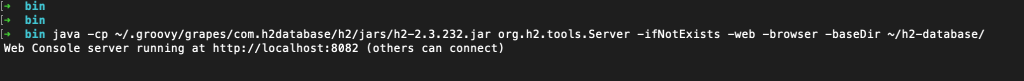 Terminal output showing the H2 Database server started with several command-line flags; the h2 db web console is available on http://localhost:8082.